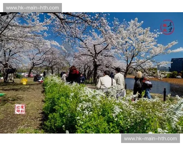 神户风云，樱花烂漫：一场关乎荣耀与梦想的对决